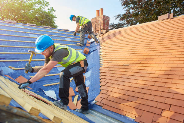 Top-Rated Roof Replacement Services Near You